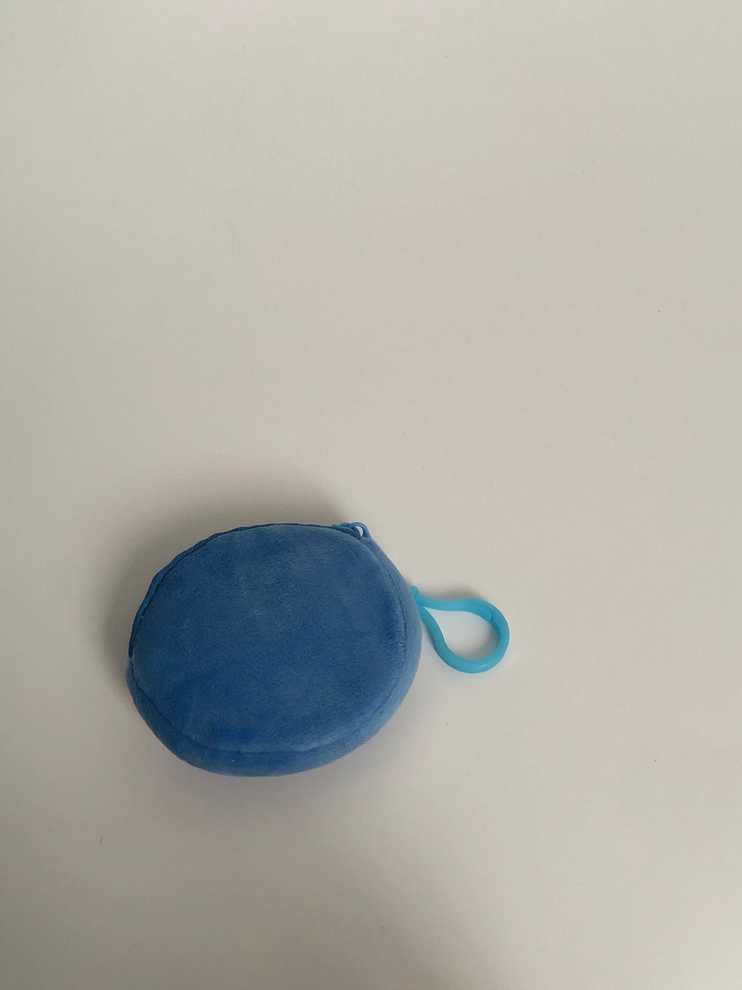Coin bag